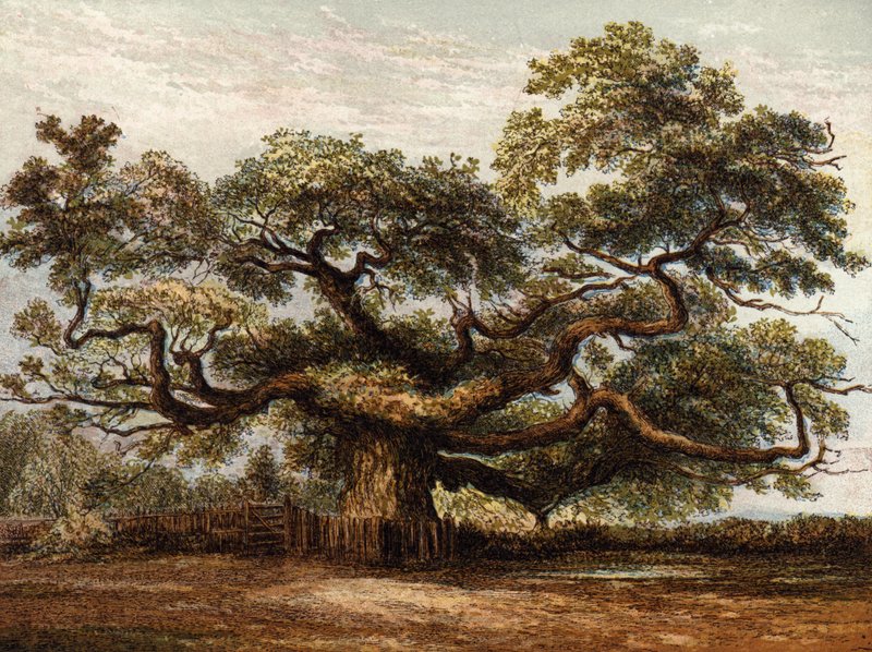 Crouch Oak, Addlestone av English School