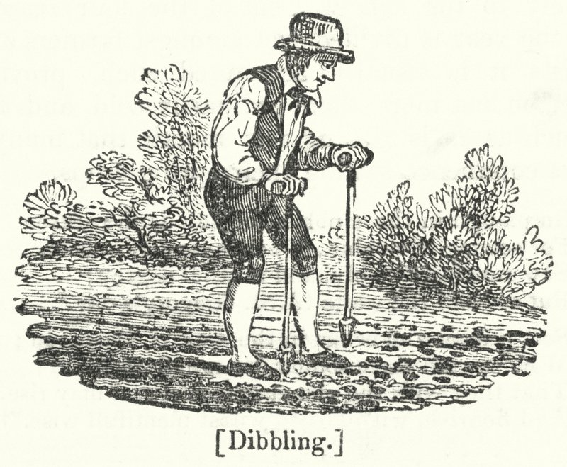 Dibbling av English School