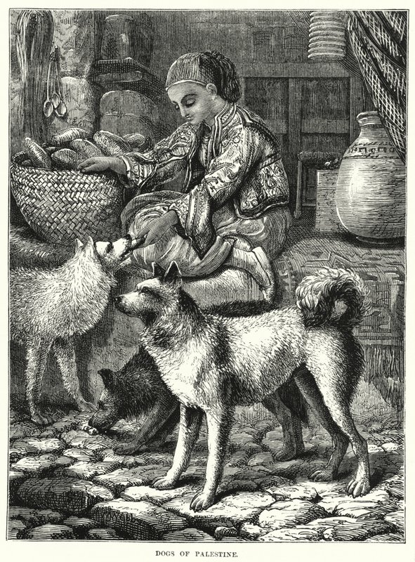 Dogs of Palestine (gravyr) av English School