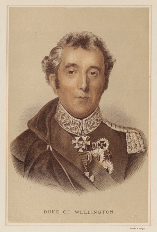 Duke of Wellington (färg litho) av English School