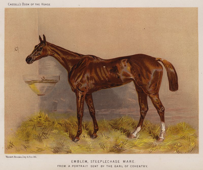 Emblem, Steeplechase Mare (färg litho) av English School