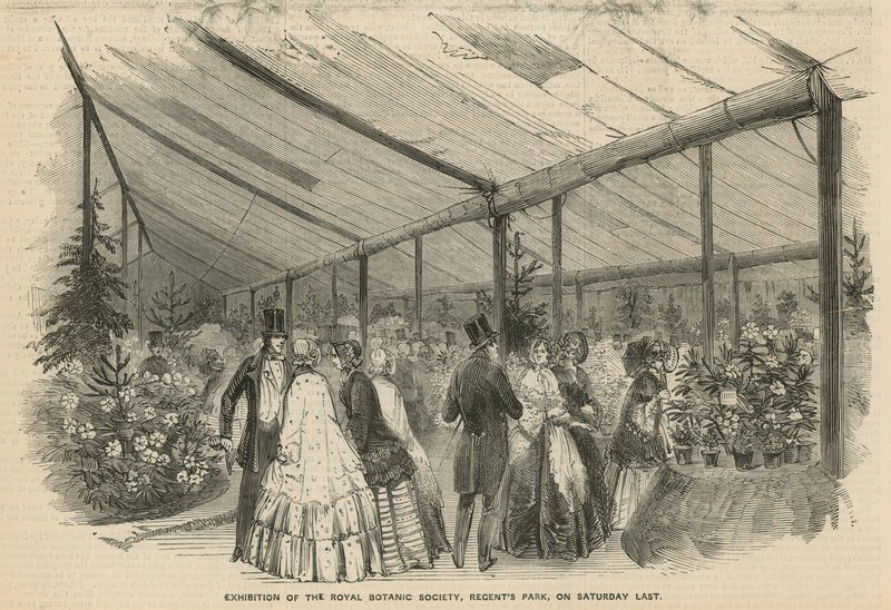 Utställning av Royal Botanic Society av English School