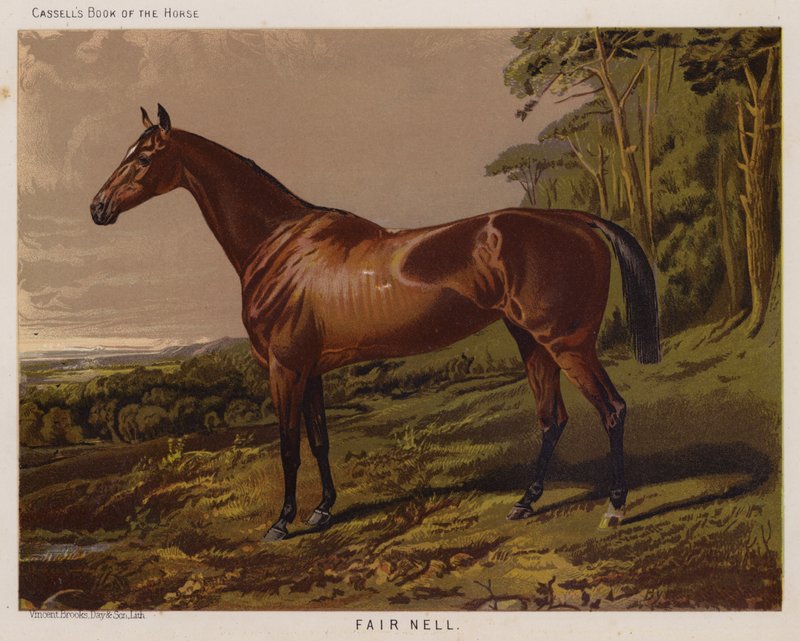 Fair Nell (färg litho) av English School