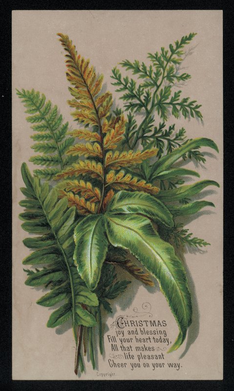 Festligt lövarrangemang, julkort (chromolitho) av English School
