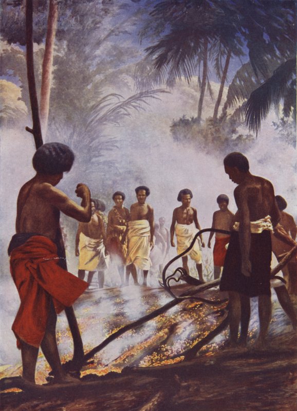 Brandvandring i Fiji av English School