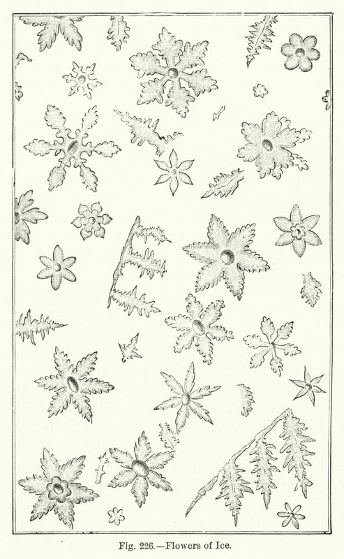 Flowers of Ice (gravyr) av English School