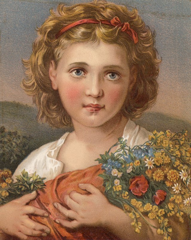 Flowers of the Field (färg litho) av English School