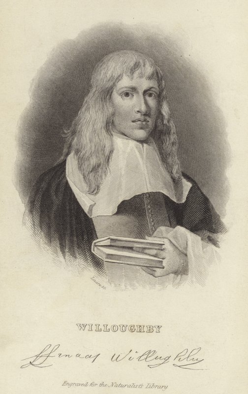 Francis Willughby av English School