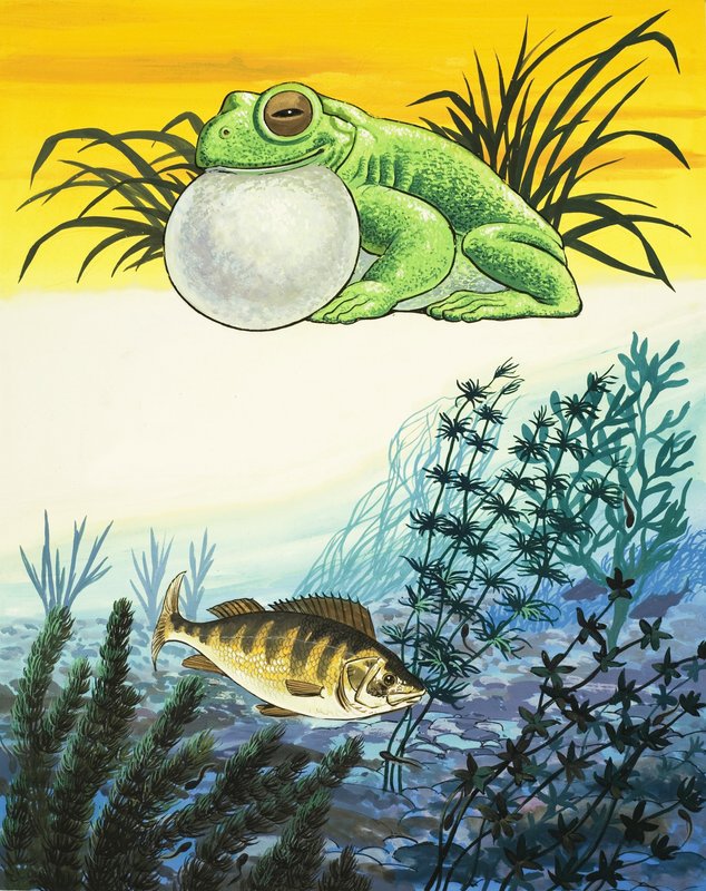 Groda och fisk av English School