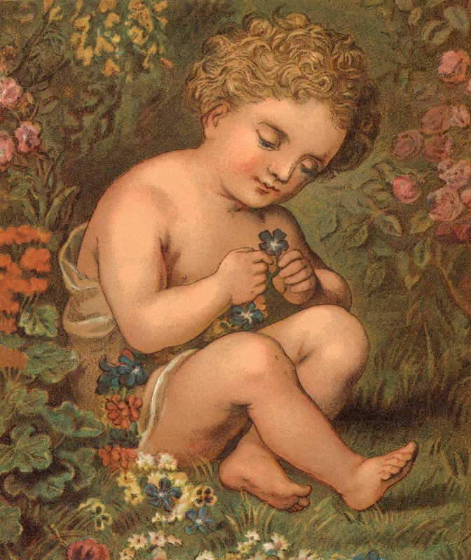 Trädgårdsblommor (färg litho) av English School