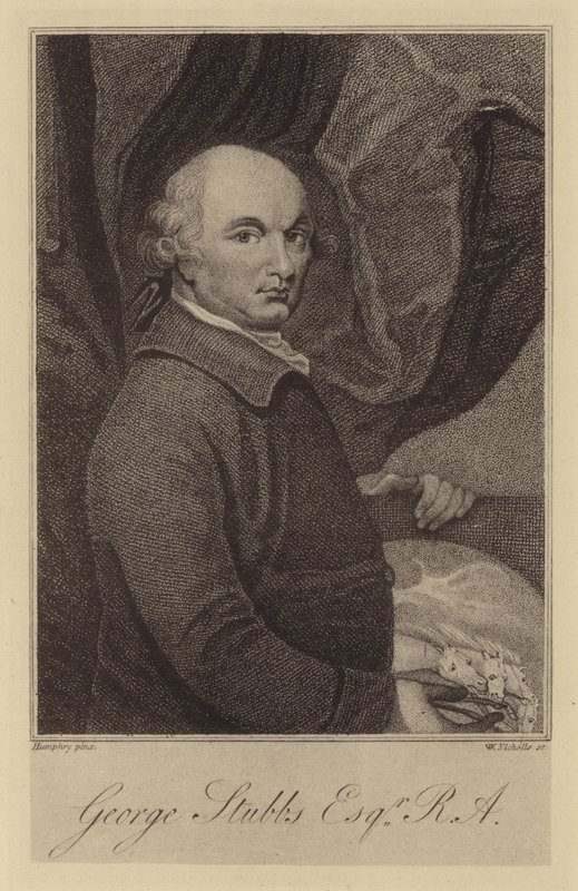 George Stubbs av English School