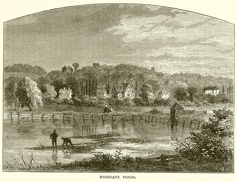 Highgate Ponds av English School