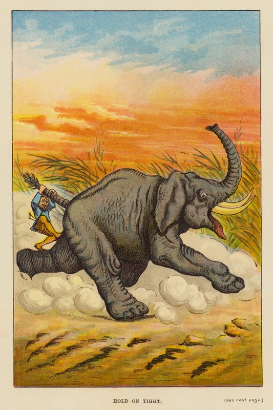 Håll dig hårt (färg litho) av English School