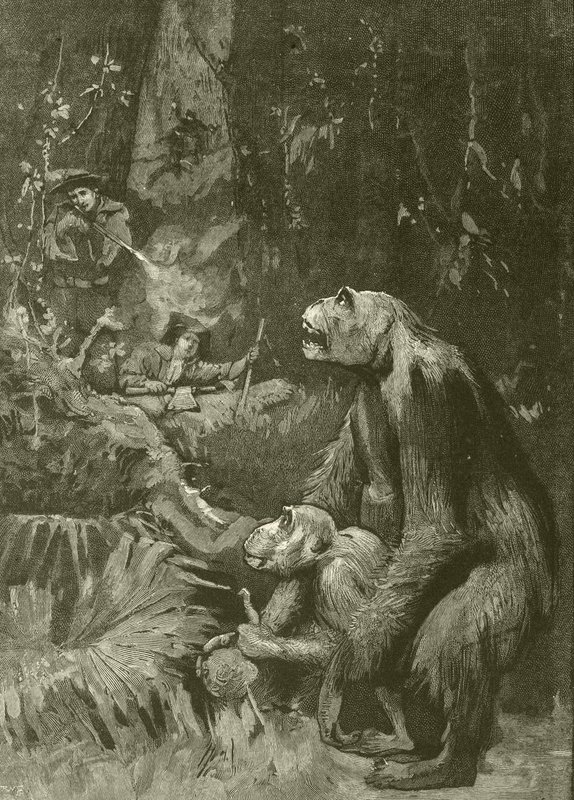 Gorillans hem (gravyr) av English School