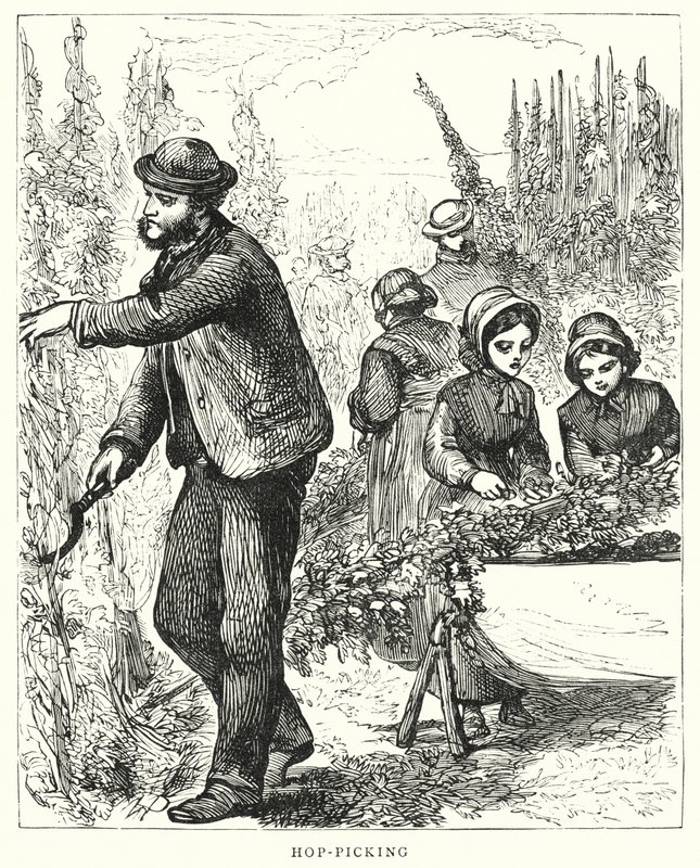 Hop-picking (gravyr) av English School