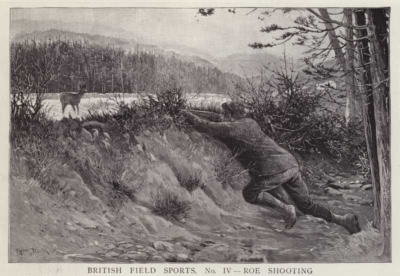 Jägare som skjuter ett rådjur (litho) av English School