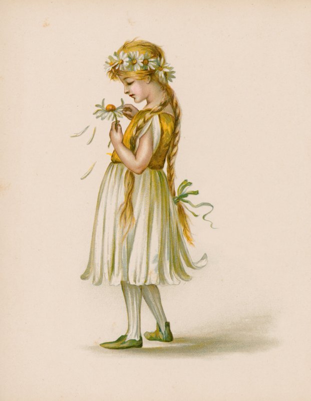 Illustration för The Language Of Flowers av English School