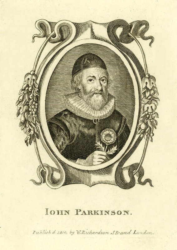 John Parkinson av English School