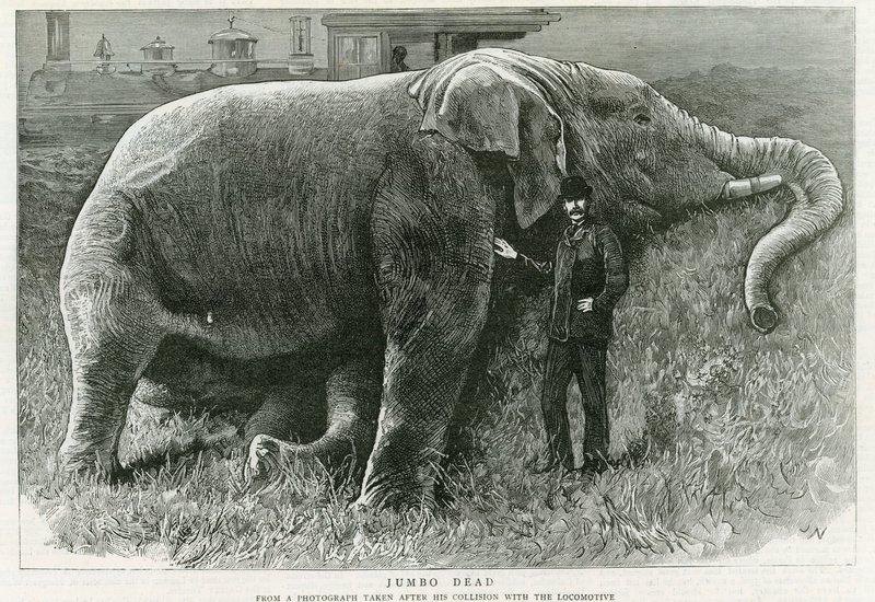 Jumbo, död av English School