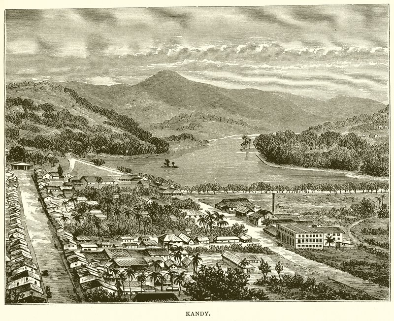 Kandy av English School