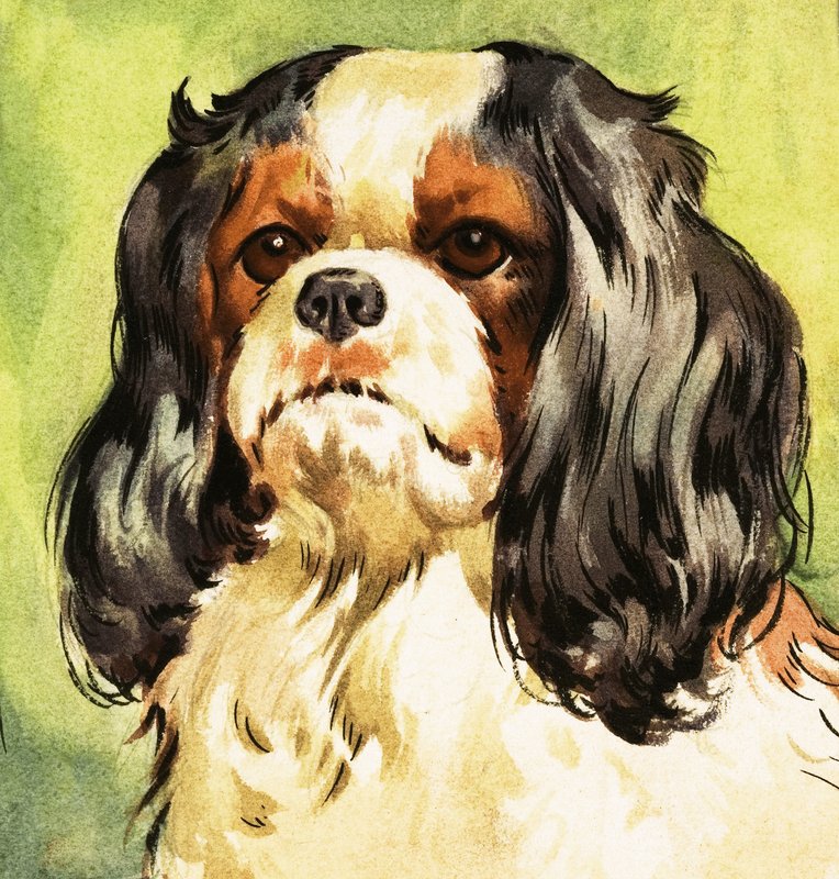 King Charles Spaniel av English School