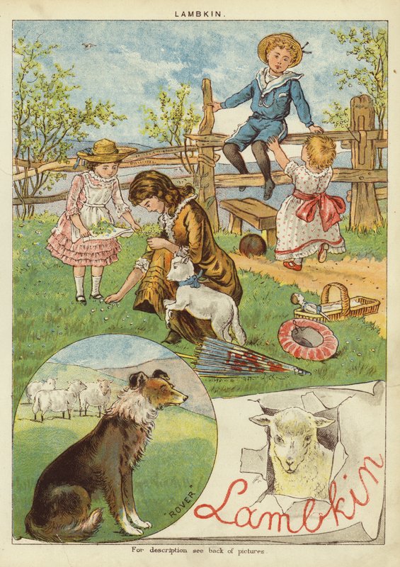 Lammkin (chromolitho) av English School