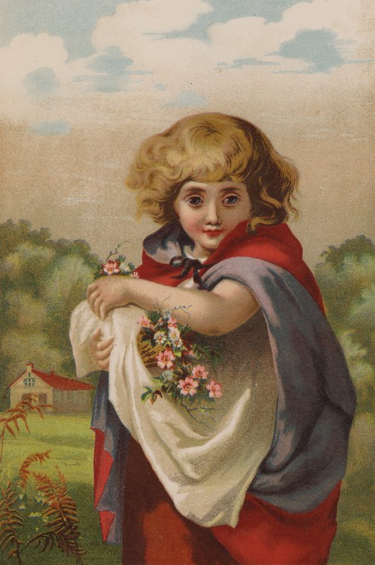 Little Forget-Me-Not (chromolitho) av English School