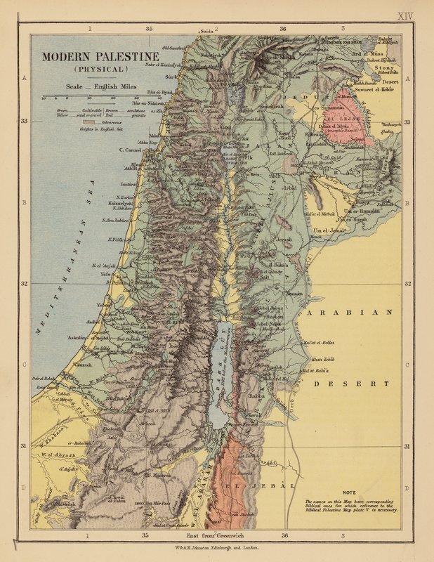 Det moderna Palestina (färglitografi) av English School
