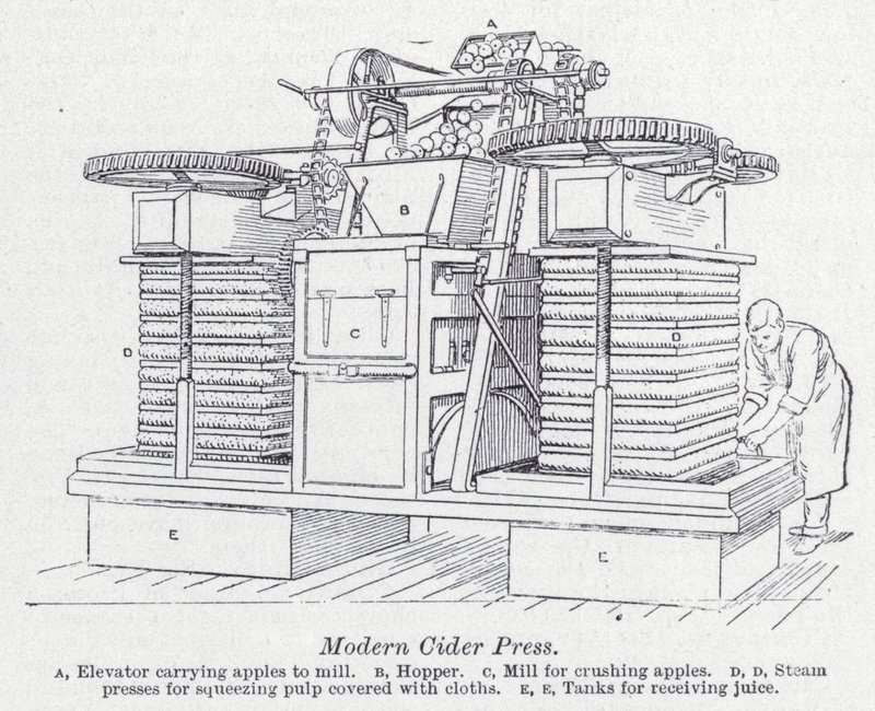 Modern ciderpress (litho) av English School