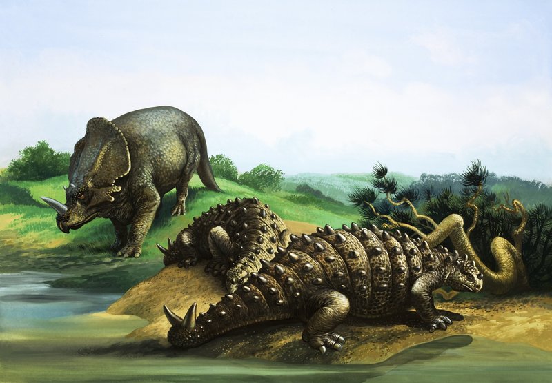 Monoclonius och Scolosaurus av English School