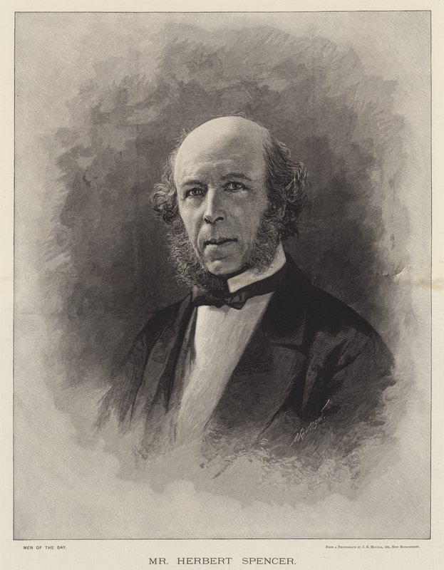 Herbert Spencer (gravyr) av English School