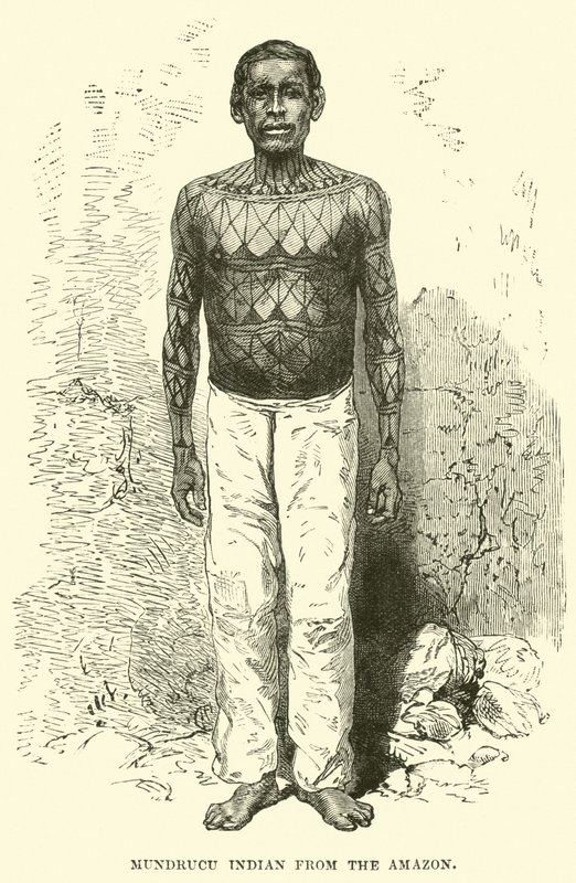 Mundrucu indian från Amazonas av English School