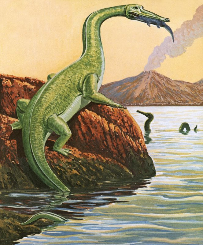 Nathosaurus äter av English School