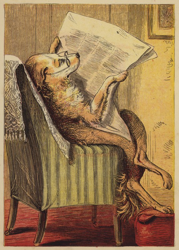 Old Mother Hubbard (färgad gravyr) av English School