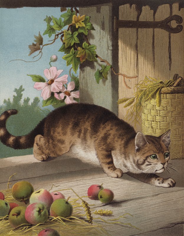 Vår Tom (chromolitho) av English School