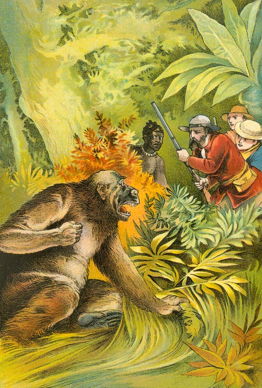 Vår första gorilla av English School