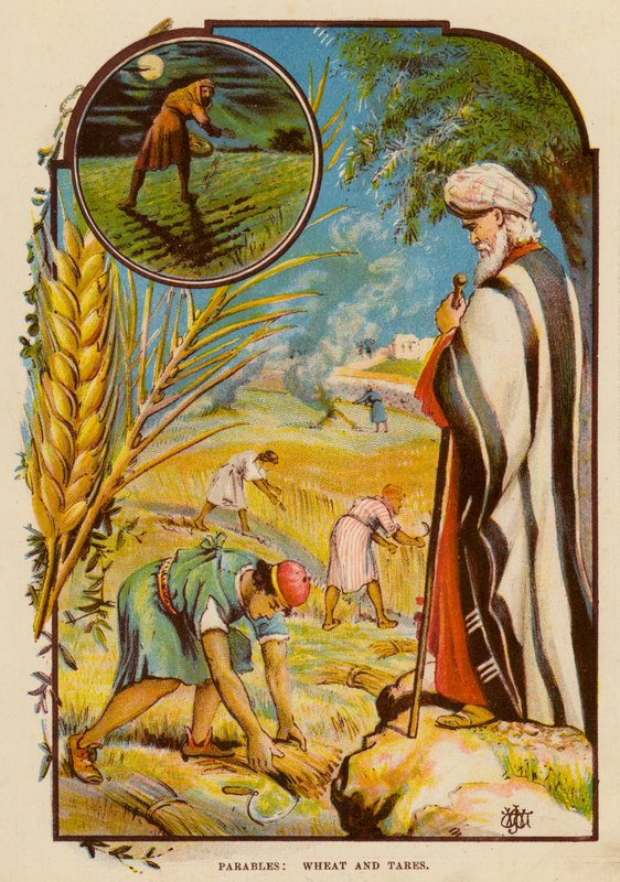 Liknelser, vete och ogräs (färg litho) av English School