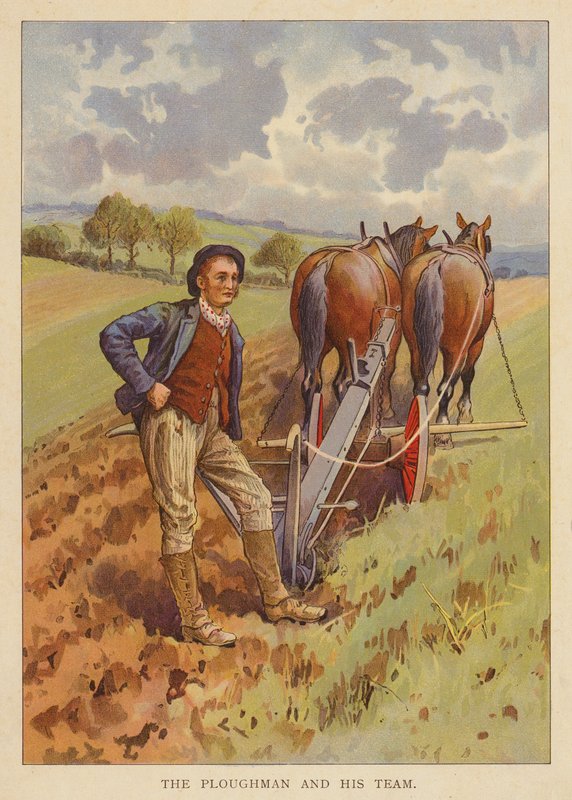 Ploughman och hans team (färglitografi) av English School