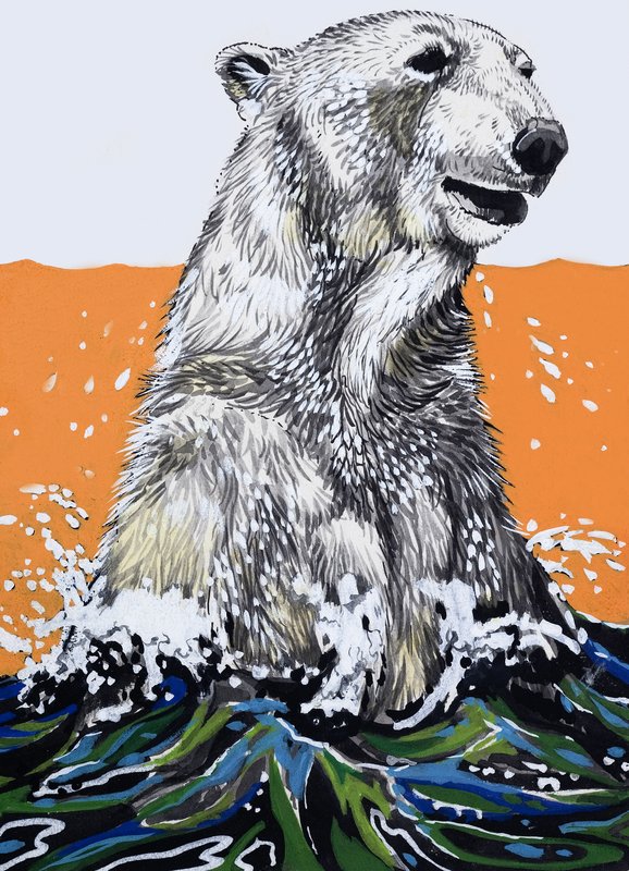Polar Bear (gouache på papper) av English School