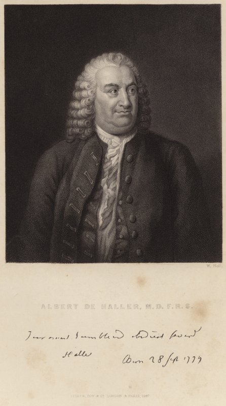 Porträtt av Albert de Haller av English School