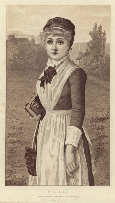 Priscilla av English School