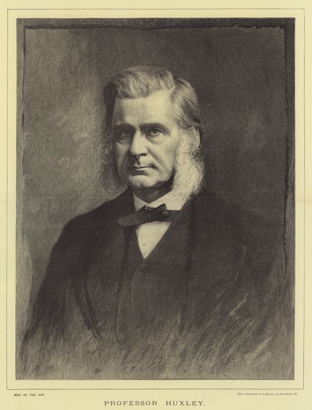 Professor Huxley (gravyr) av English School