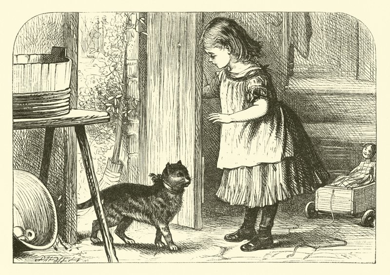 Puss-katt, fitt-katt av English School
