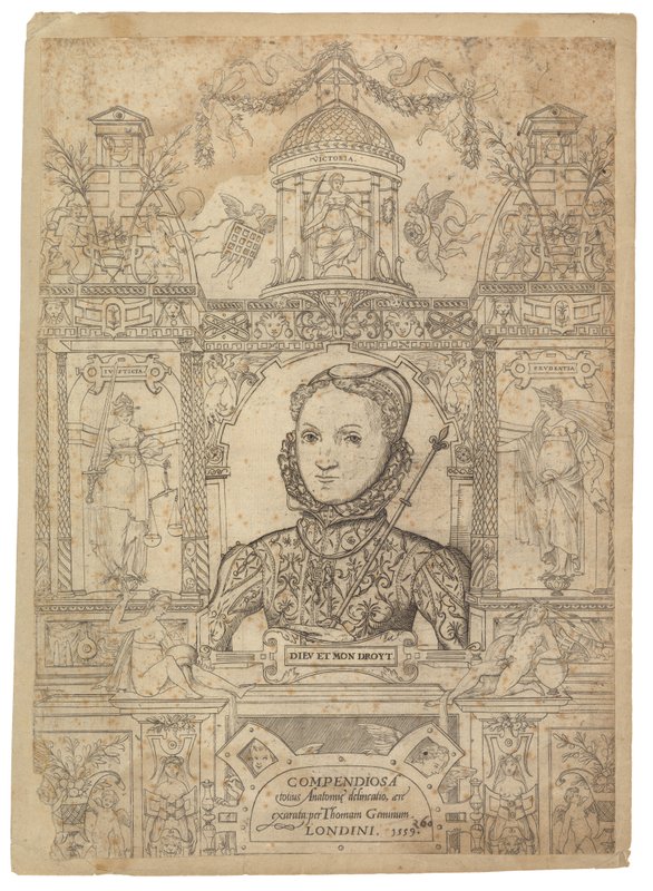 Drottning Elizabeth I av English School