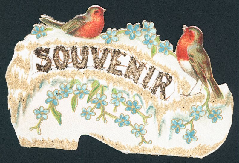 Robin Souvenir, julkort av English School