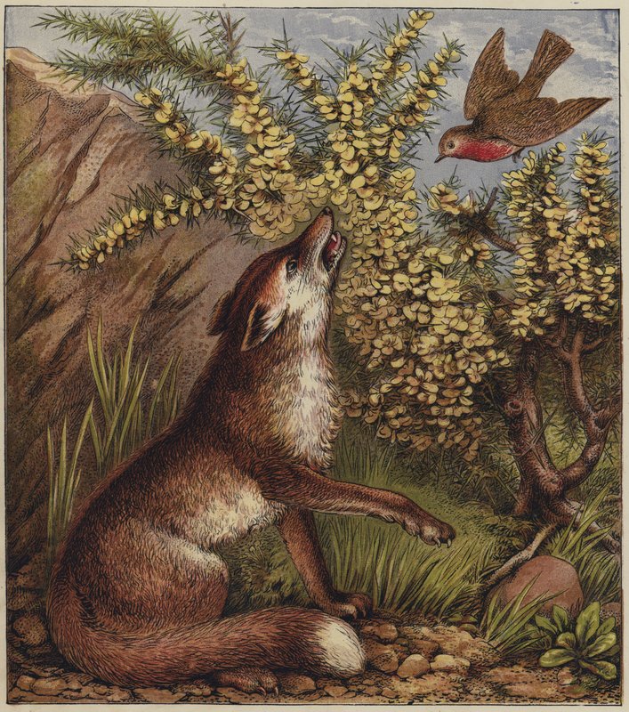 Robins julsång (färglitografi) av English School