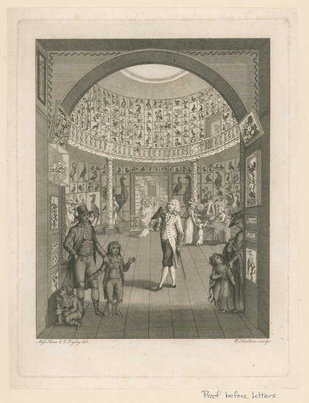 Rotunda vid Leverianmuseet av English School