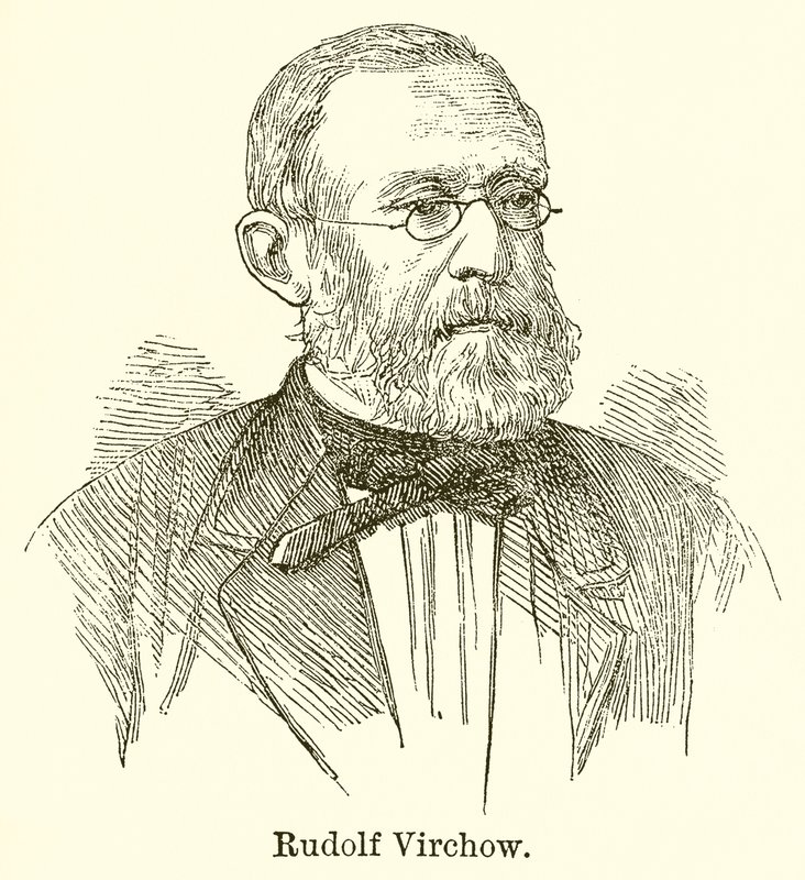 Rudolf Virchow av English School