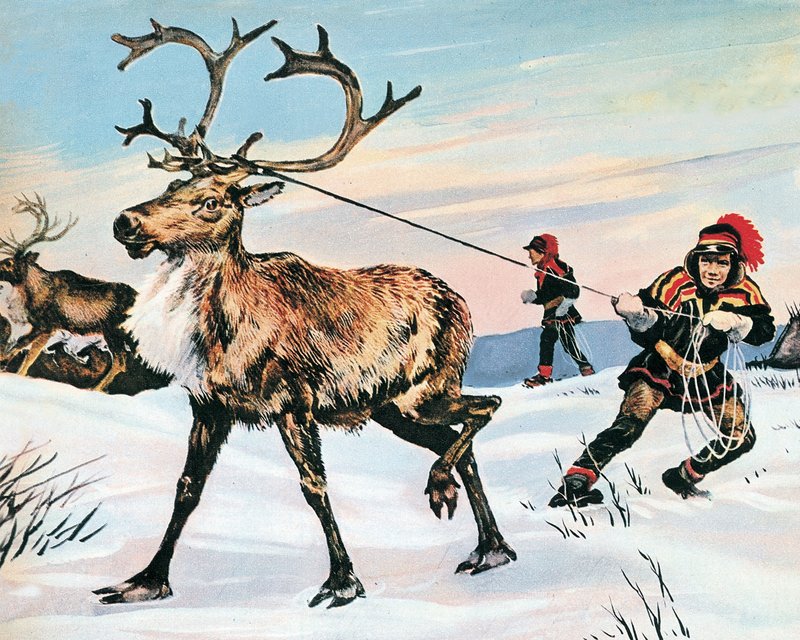 Rudolphs näsa är aldrig röd av English School
