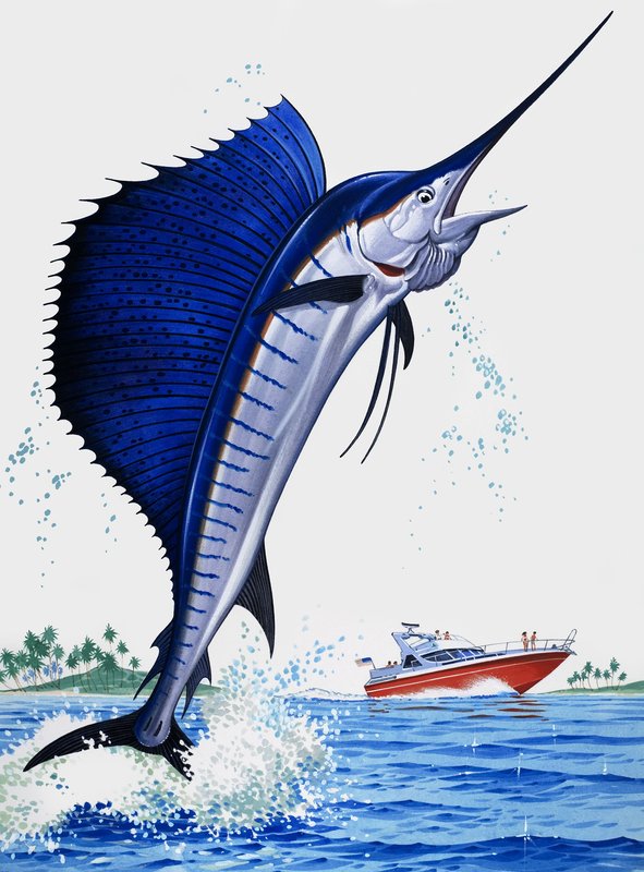 Segelfisk av English School